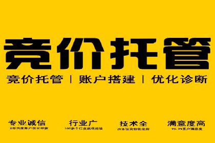 案例分享：SEM投放助力企业品牌知名度